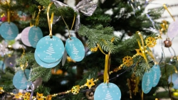 Альметьевцы могут принять участие в акции &laquo;Елка желаний&raquo;